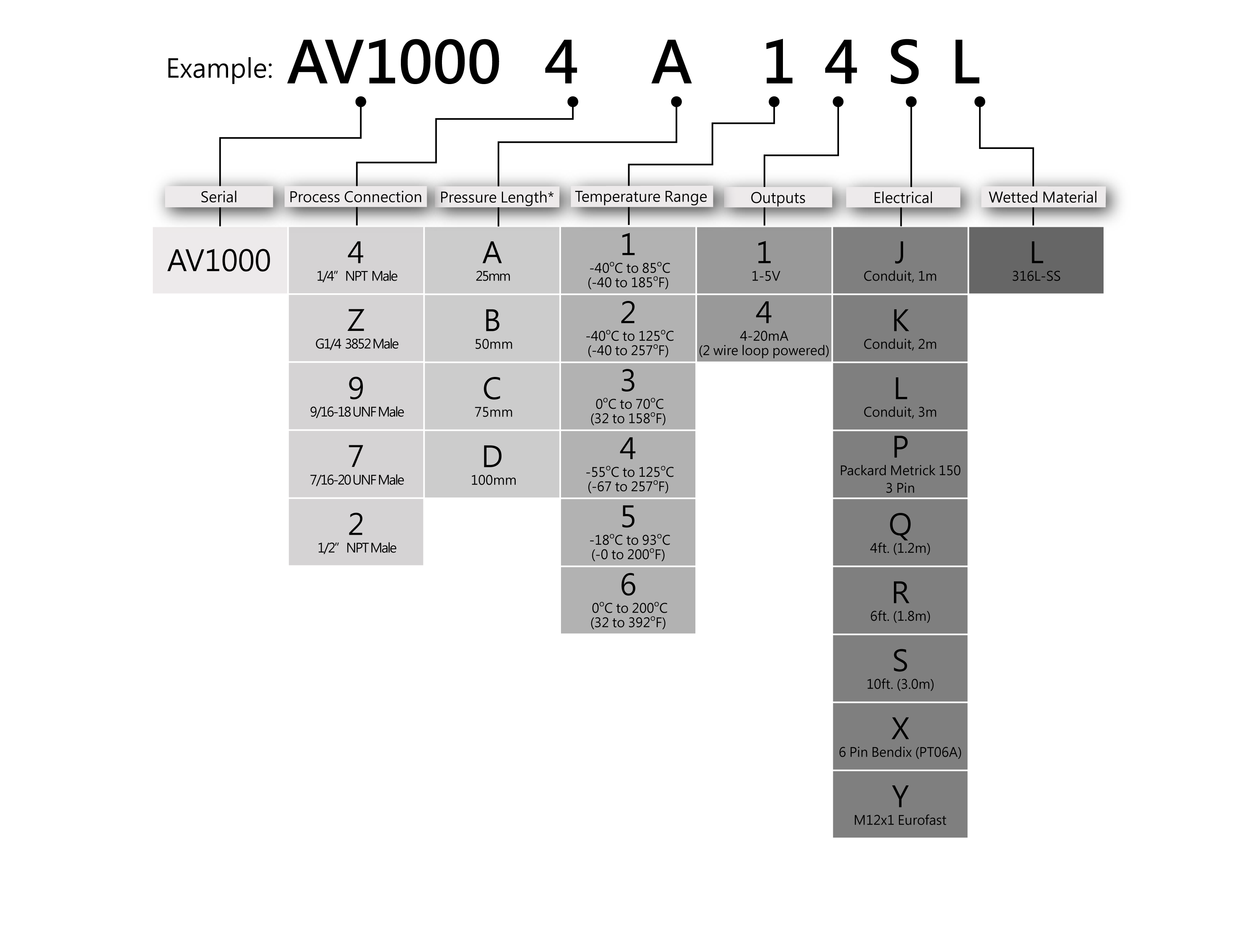 Ordering Information for AV1000