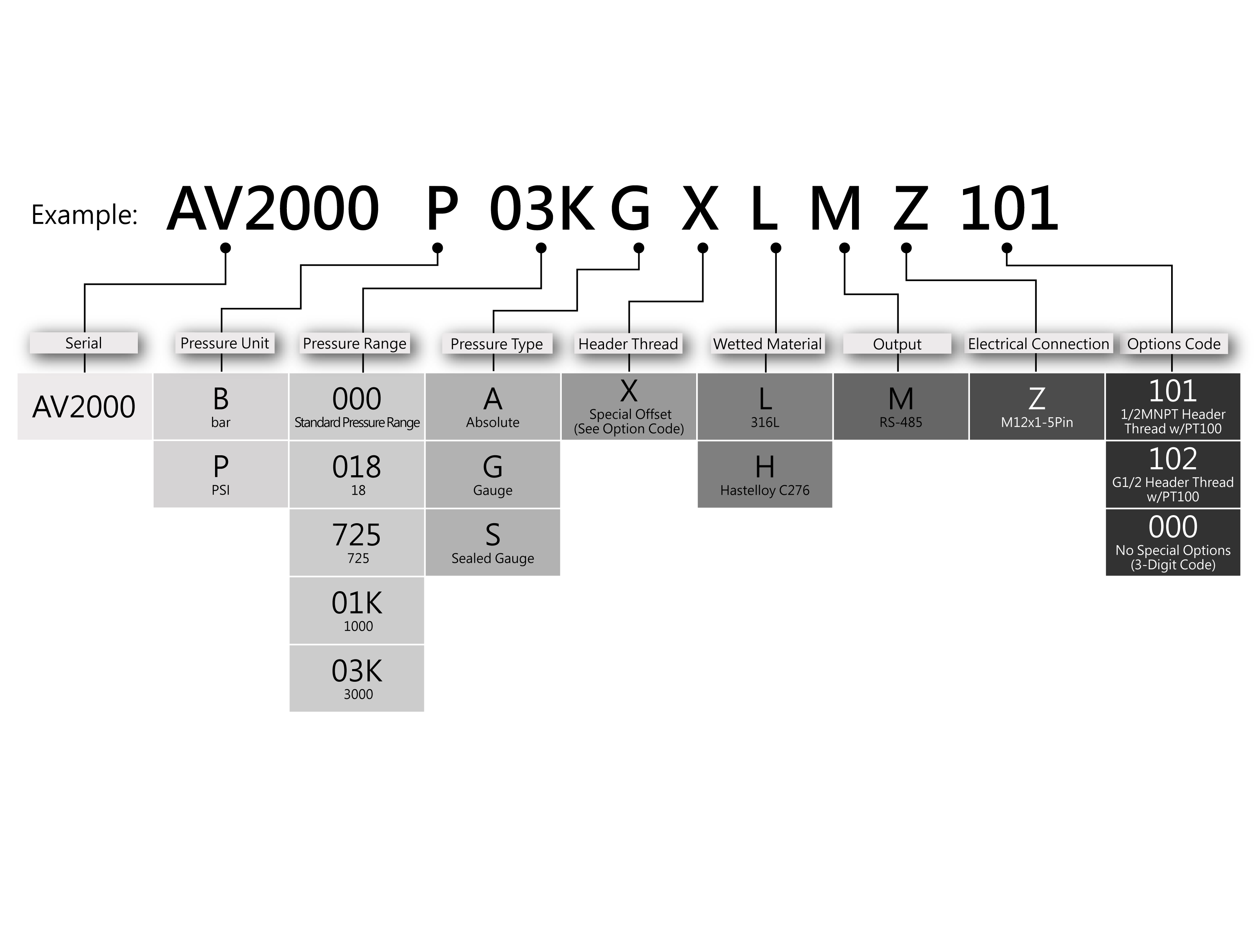 Ordering Information for AV2000