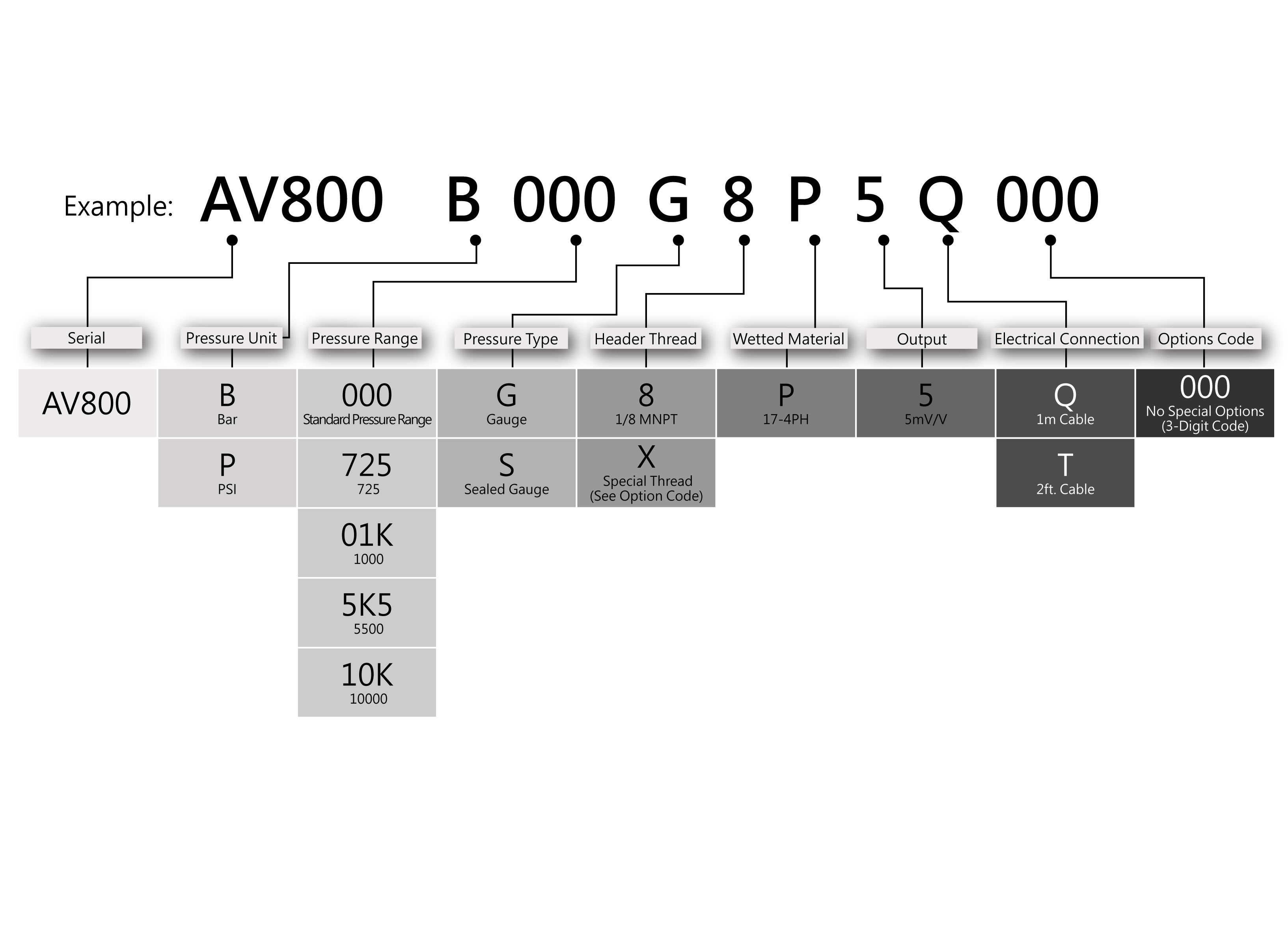 Ordering Information for AV40HT